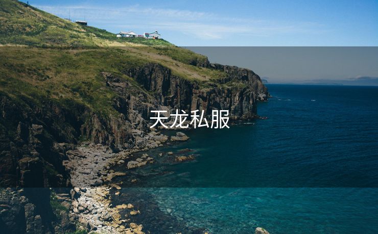 天龙私服