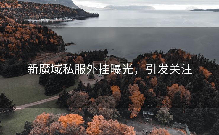 新魔域私服外挂曝光，引发关注
