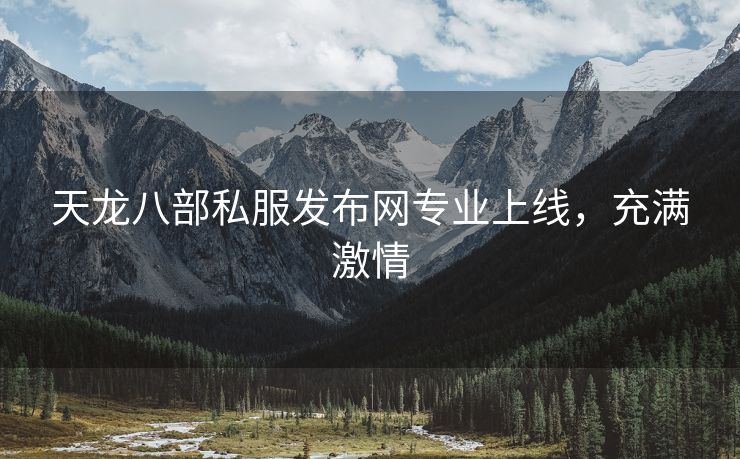 天龙八部私服发布网专业上线，充满激情