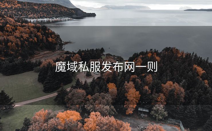 魔域私服发布网一则