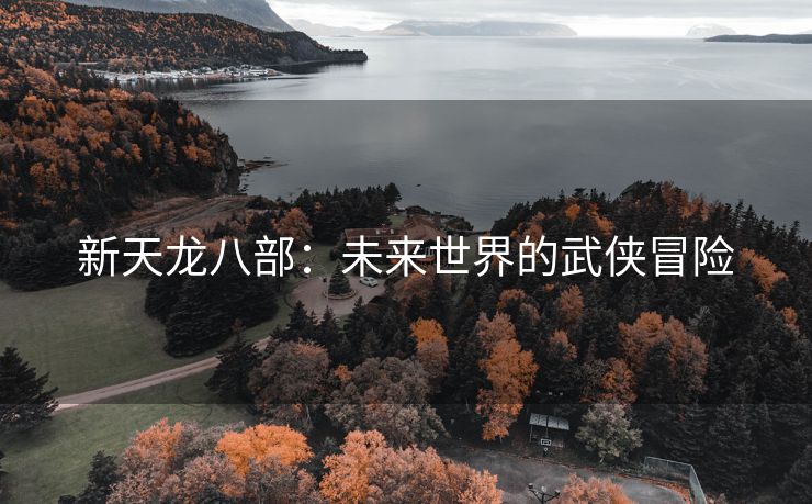新天龙八部：未来世界的武侠冒险