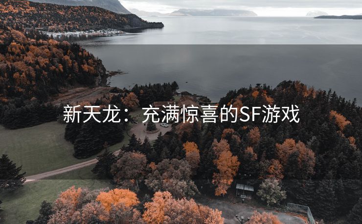新天龙：充满惊喜的SF游戏