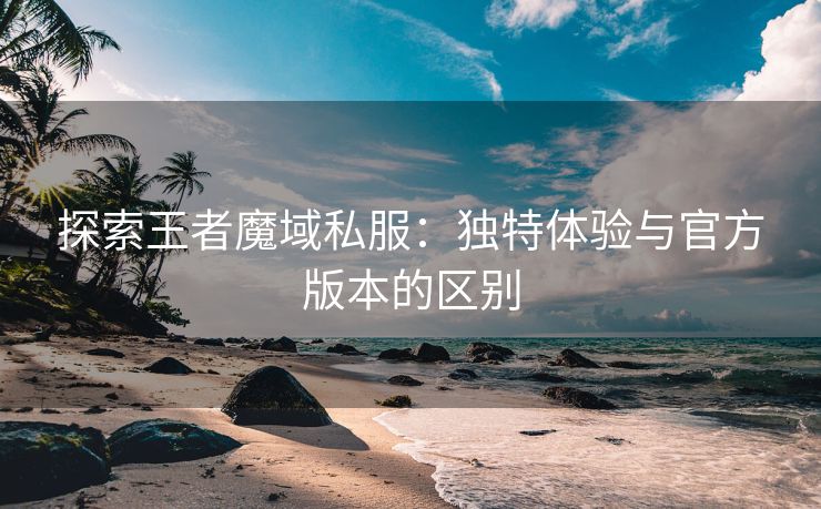 探索王者魔域私服：独特体验与官方版本的区别