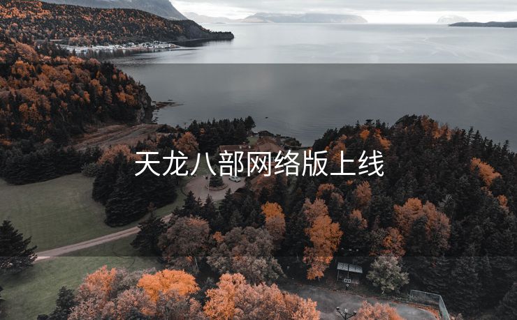 天龙八部网络版上线
