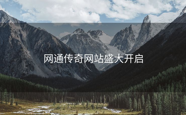 网通传奇网站盛大开启