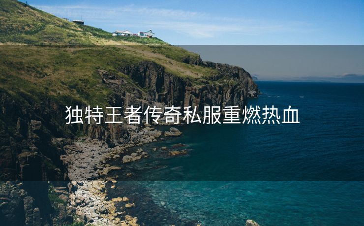 独特王者传奇私服重燃热血