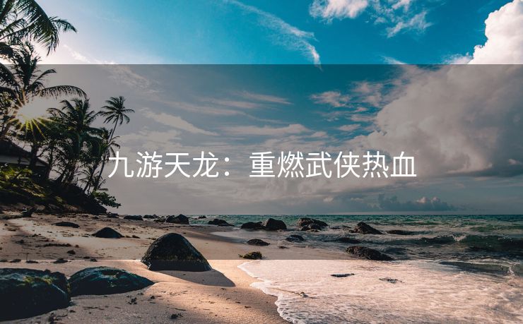 九游天龙：重燃武侠热血
