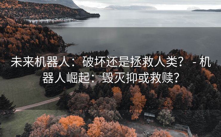 未来机器人：破坏还是拯救人类？ - 机器人崛起：毁灭抑或救赎？