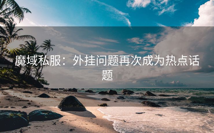 魔域私服：外挂问题再次成为热点话题