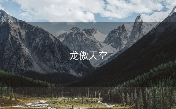 龙傲天空