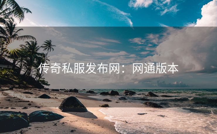 传奇私服发布网：网通版本