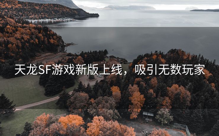 天龙SF游戏新版上线，吸引无数玩家