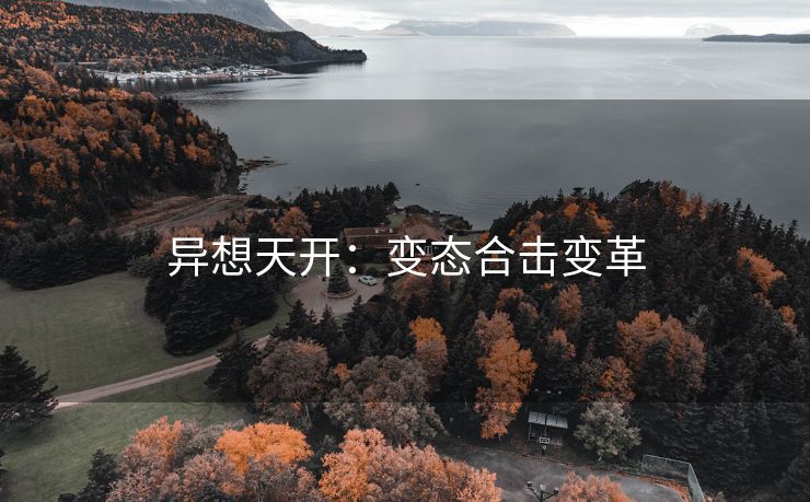 异想天开：变态合击变革