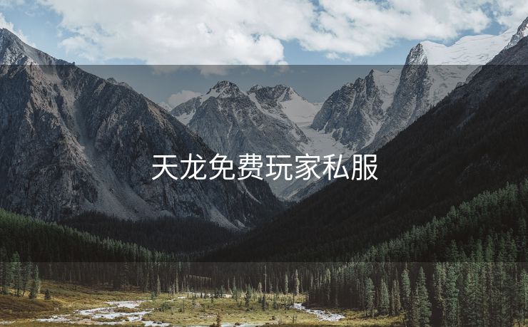 天龙免费玩家私服