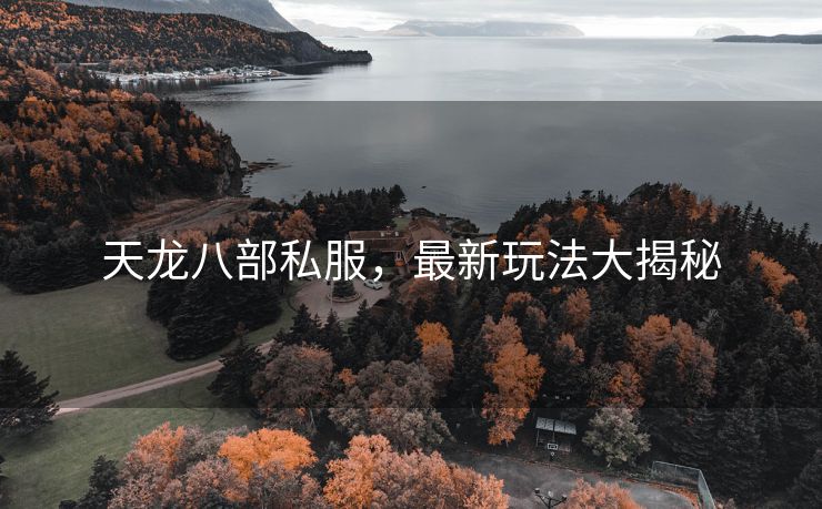 天龙八部私服，最新玩法大揭秘