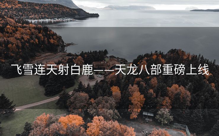 飞雪连天射白鹿——天龙八部重磅上线