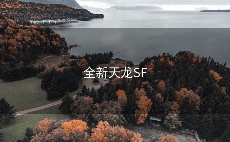 全新天龙SF