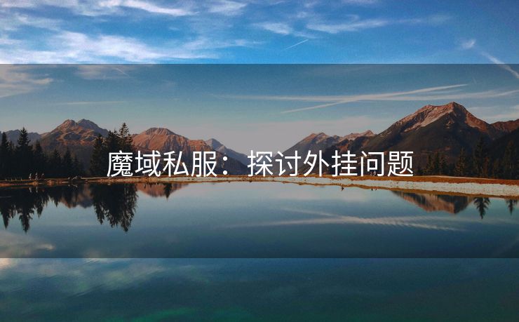 魔域私服：探讨外挂问题