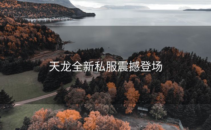 天龙全新私服震撼登场