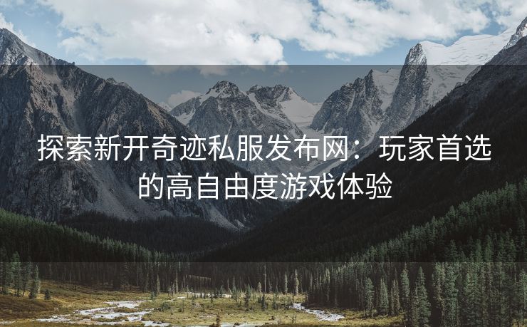 探索新开奇迹私服发布网：玩家首选的高自由度游戏体验
