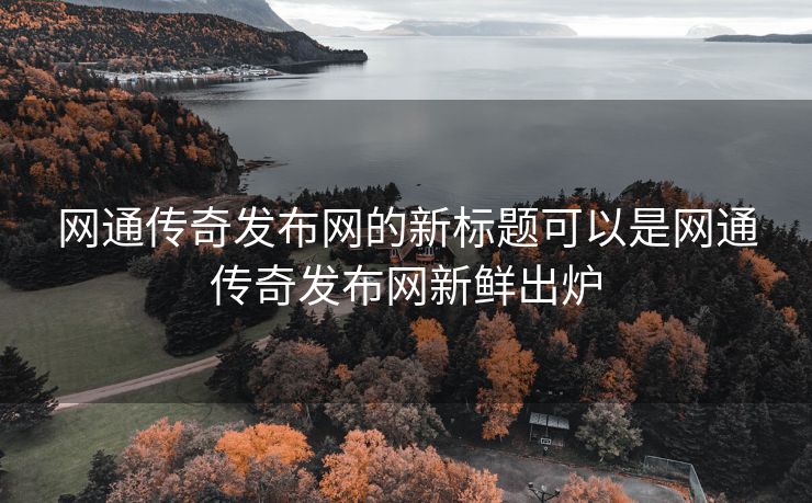 网通传奇发布网的新标题可以是网通传奇发布网新鲜出炉