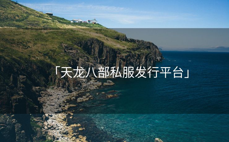 「天龙八部私服发行平台」