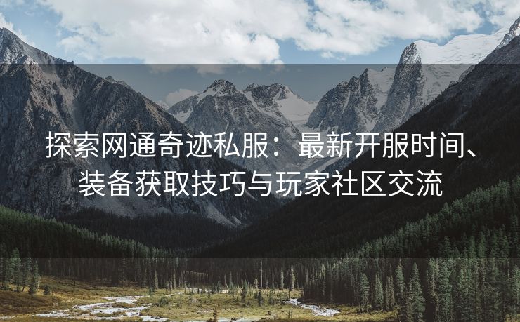 探索网通奇迹私服：最新开服时间、装备获取技巧与玩家社区交流