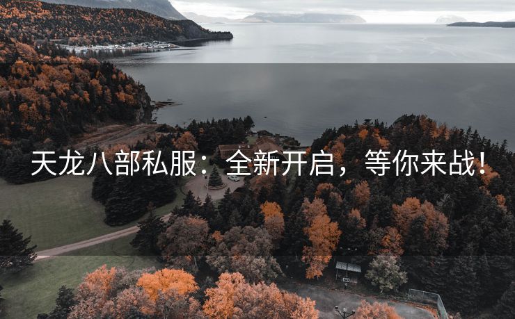 天龙八部私服：全新开启，等你来战！