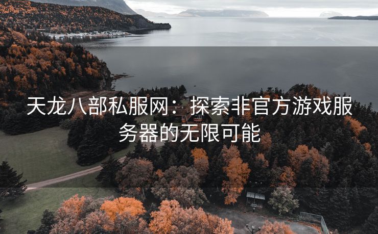 天龙八部私服网：探索非官方游戏服务器的无限可能