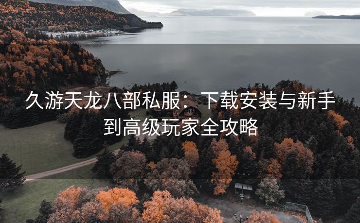 久游天龙八部私服：下载安装与新手到高级玩家全攻略