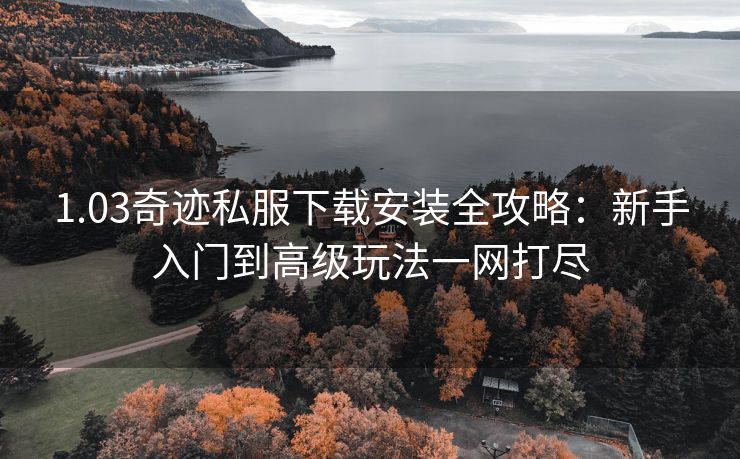 1.03奇迹私服下载安装全攻略：新手入门到高级玩法一网打尽